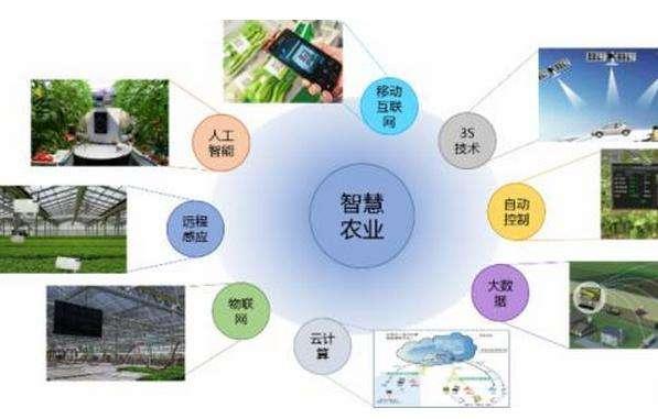 齊魯政情 新農(nóng)人,新農(nóng)具,新農(nóng)作,這里種地有啥不一樣