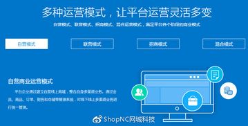 既B2C又B2B2C的移動電商模式,你了解多少
