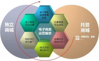 電子商務(wù)戰(zhàn)略的介紹