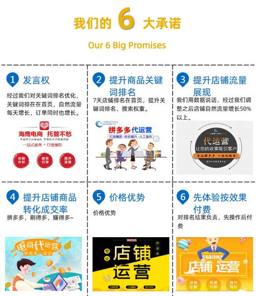 溫州拼多多運(yùn)營公司 拼多多運(yùn)營公司怎么做 海鷹