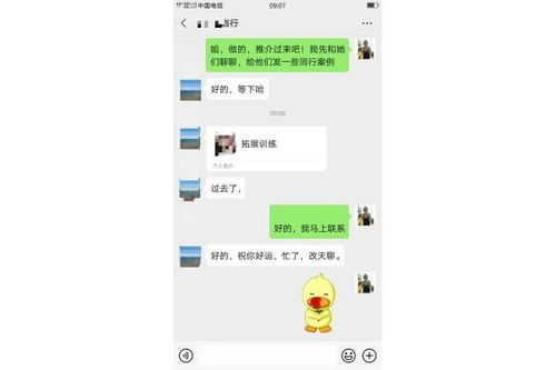 臺(tái)前免費(fèi)發(fā)布網(wǎng)絡(luò)信息 發(fā)布貓