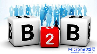 資本入局,大宗商品借力b2b謀求轉型