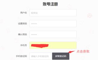 dsmallb2b商城系統短信寶短信插件